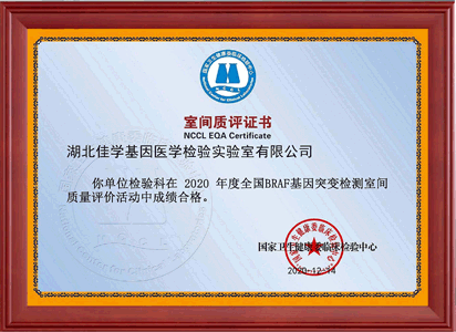 2020年9个室间质评证书_页面_9