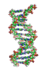 【bbin宝盈基因检测】眼皮肤白化病4型基因解码、<a href=http://www.meouart.com/tk/jiema/cexujishu/2021/31933.html>基因检测</a>的报告有人解读吗？
