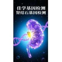 【bbin宝盈基因检测】肾结石基因检测项目介绍