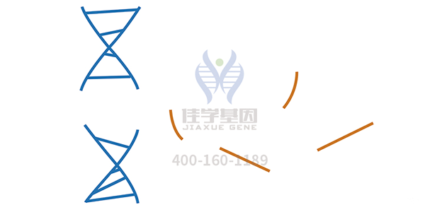 <b>【bbin宝盈基因检测</b>