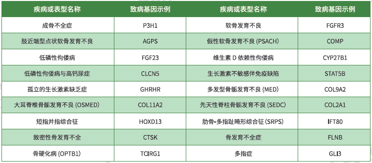 【bbin宝盈基因检测】<font color='red'><font color='red'>骨骼</font><font color='red'>系统</font><font color='red'>疾病</font></font>致病基因鉴定基因解码