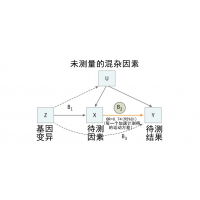 【bbin宝盈基因检测】如何避免罹患<font color='red'>精神</font>病、<font color='red'>精神</font>类疾病？